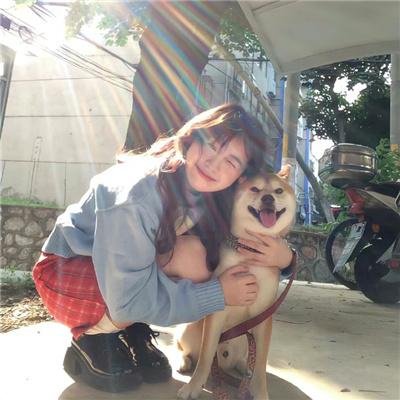 蜘蛛与郁金香